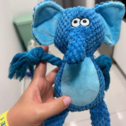 Jouet éléphant bleu pour chien & chat – Peluche amusante avec corde | Livraison gratuite