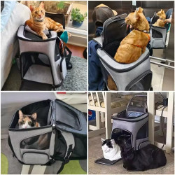 Sac à dos de transport gris pour chats et petits chiens – Kat & Doug