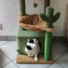 Arbre à chat vert et marron 80 cm – Design cactus – Kat & Doug
