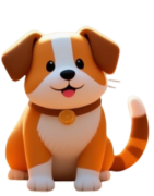 Accessoires pour chiens